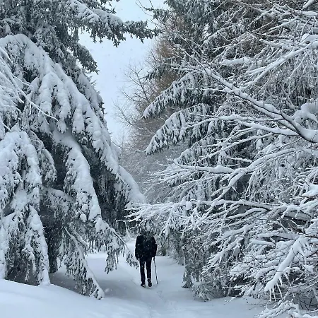 Apartamento Górski 595