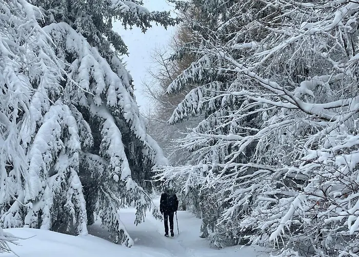 Apartment Gorski 595